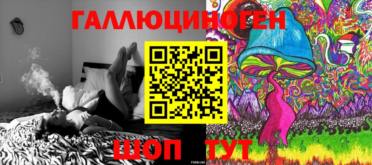 хочу   Вход с VPN  Псилоцибиновые грибы Psilocybe  Тихвин  Псилоцибиновые грибы мухоморы 